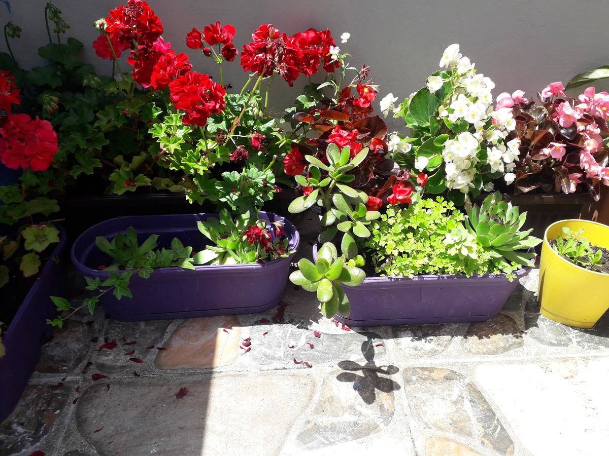 Апартаменты ANA Будва-17