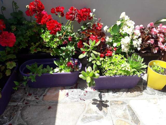 Апартаменты ANA Будва-16